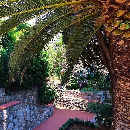 Villa Karolina Dubrovnik Zimmer foto